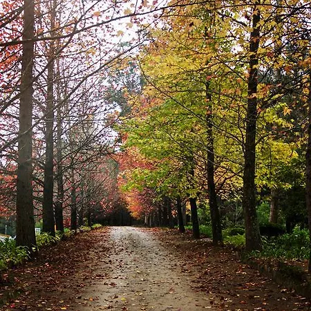Landhuis Quinta De Mouraes - Casa Do Xisto