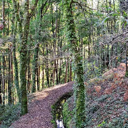 カントリーハウス Quinta De Mouraes - Casa Do Xisto *