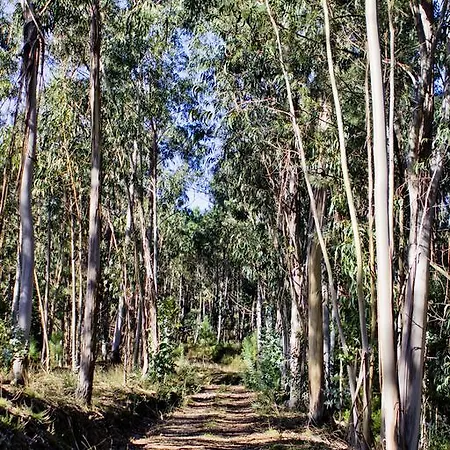 Quinta De Mouraes - Casa Do Xisto * Lever