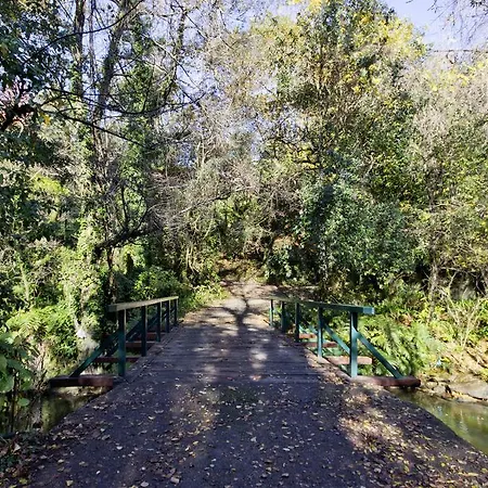 Quinta De Mouraes - Casa Do Xisto Landhuis