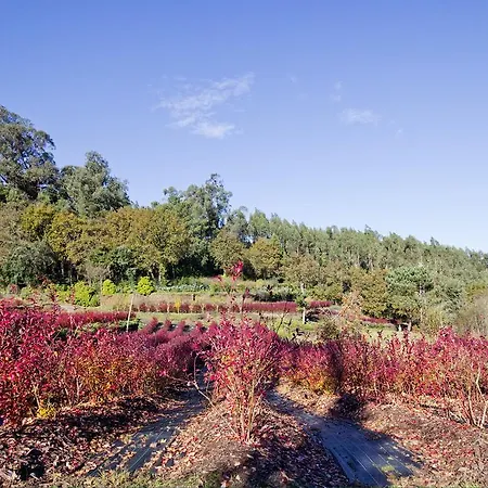Quinta De Mouraes - Casa Do Xisto Landhuis