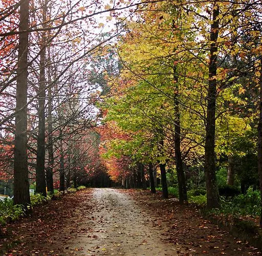 Εξοχικό σπίτι Quinta De Mouraes - Casa Do Xisto