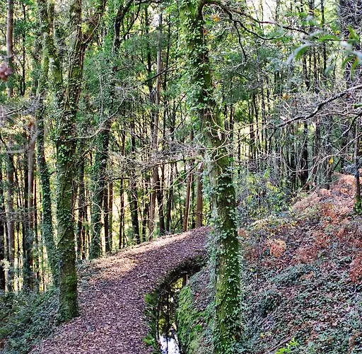 Εξοχικό σπίτι Quinta De Mouraes - Casa Do Xisto *