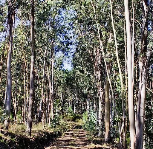 Quinta De Mouraes - Casa Do Xisto * Lever