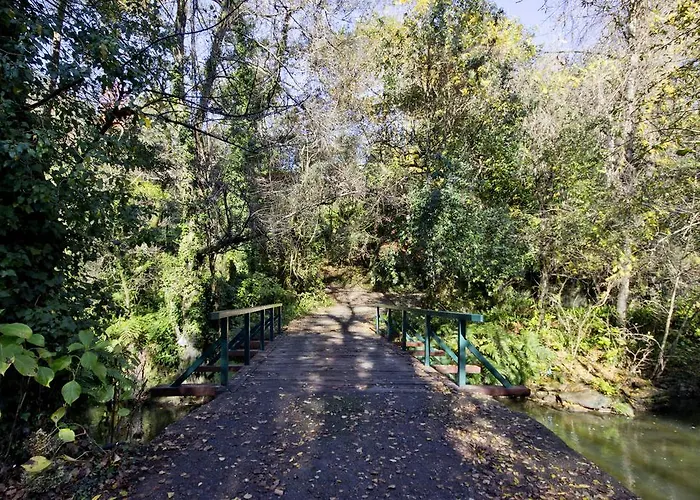 Quinta De Mouraes - Casa Do Xisto カントリーハウス