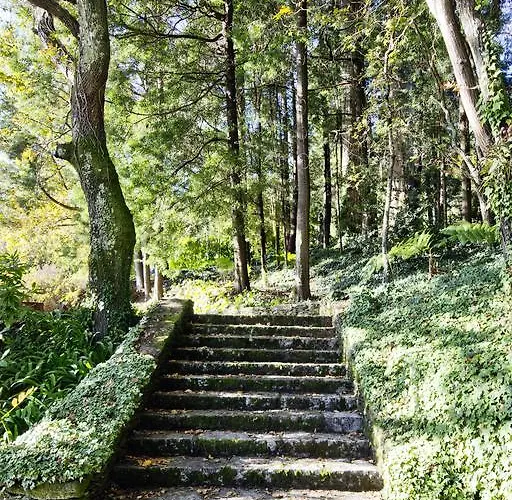 Quinta De Mouraes - Casa Do Xisto *