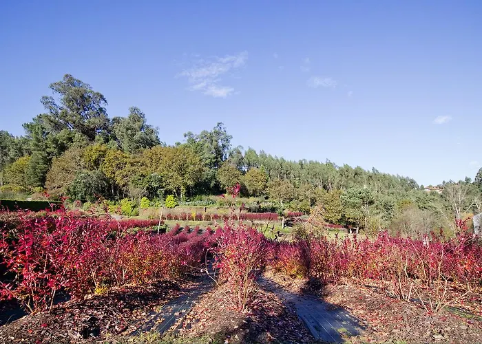 Quinta De Mouraes - Casa Do Xisto カントリーハウス