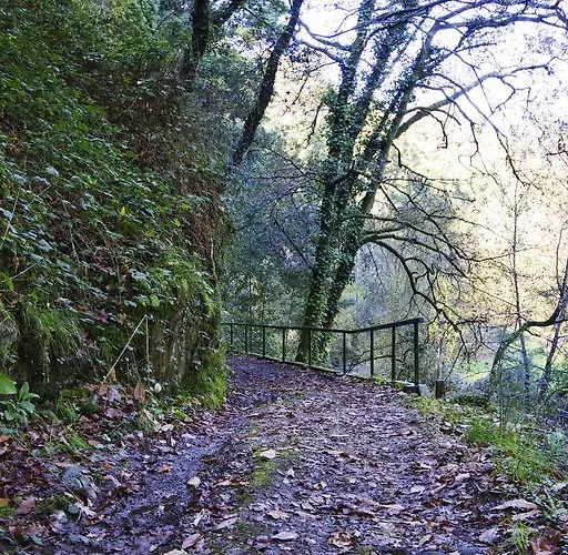 Quinta De Mouraes - Casa Do Xisto カントリーハウス *